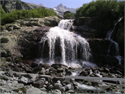 Walter 08.07.08-02.01.200959